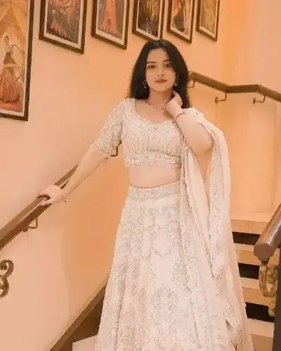 Escort Ameerpet
